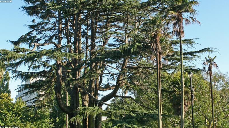 New Zealand Study Visa guide